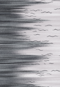 200cm X 569cm